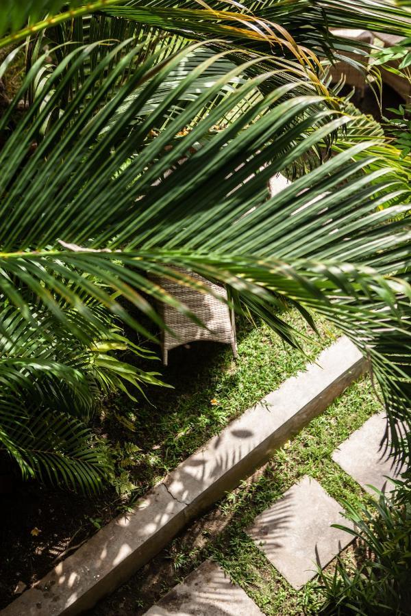 The Spare Room Bali Canggu Εξωτερικό φωτογραφία